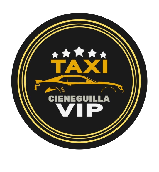 Taxi VIP Logo